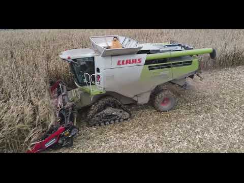 Des chenilles pour répondre au condition climatique Eta Pocholle  Claas Lexion 760