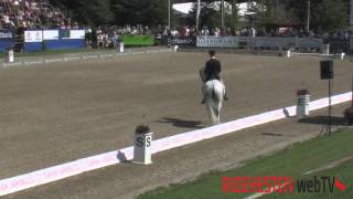 Video koně Donna Silver