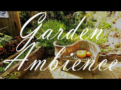 🌻Garden Ambience🌻 | wind chimes and birds singing🐦 | 6 hour relaxation.