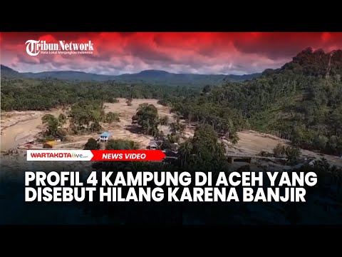 Profil 4 Kampung di Aceh yang Disebut Hilang Karena Banjir