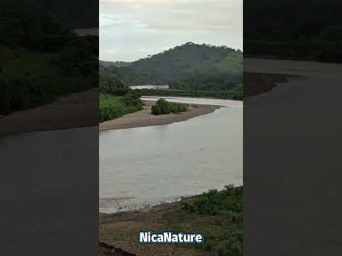 Río Coco y el caño de Martha Quezada con un atardecer por el costado de Wiwilí Nueva Segovia.