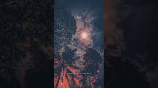 Download lagu history WA #lagu #banyuwangi #akustik mp3 Download lagu history WA #lagu #banyuwangi #akustik mp3