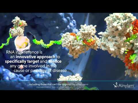 RNAi Therapeutics - How this New Class of Medicines Works