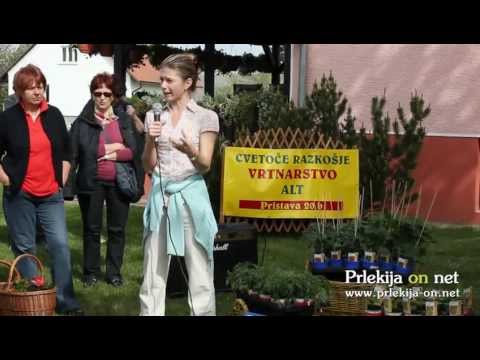 Dan zelenjavnih sadik pri Vrtnarstvu Alt