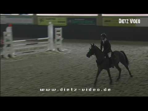 Verano von Worrenberg, Holst, geb 2010, Verdi x Carpaccio