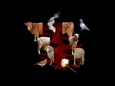 Genesis 15-17: The Abrahamic Covenant