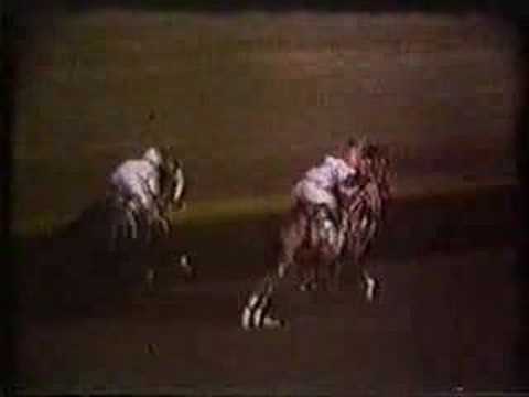 Dr. Fager - 1968 United Nations International Handicap