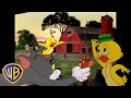 Tom Jerry Quack Quack It S Little Quacker Classic Cartoon Compilation Wbkids​