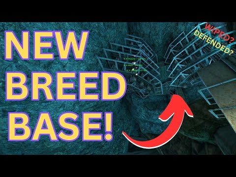 BUILDING AND DEFENDING MY NEW BREEDING BASE! 4 MAN MTS PvP - ARK: Survival Evolved
