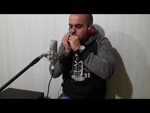 GAITA BLUES   , VIOLÃO SLIDE  ARI MENDES