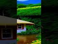 Ethiopian Instrumental Music Collection Short Instrumental Ethiopianzena