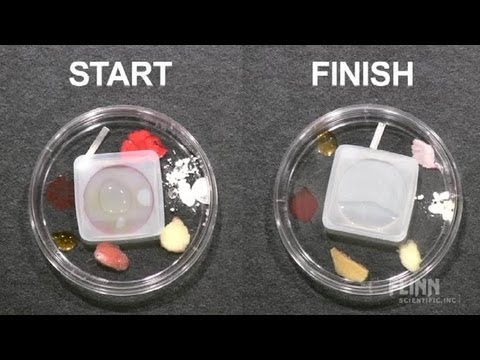 Small-Scale Acid Rain Lab