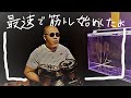 【筋トレ】まだ大晦日だけど最速で筋トレ始めしました 胸トレ ダンベルプレス 40㎏