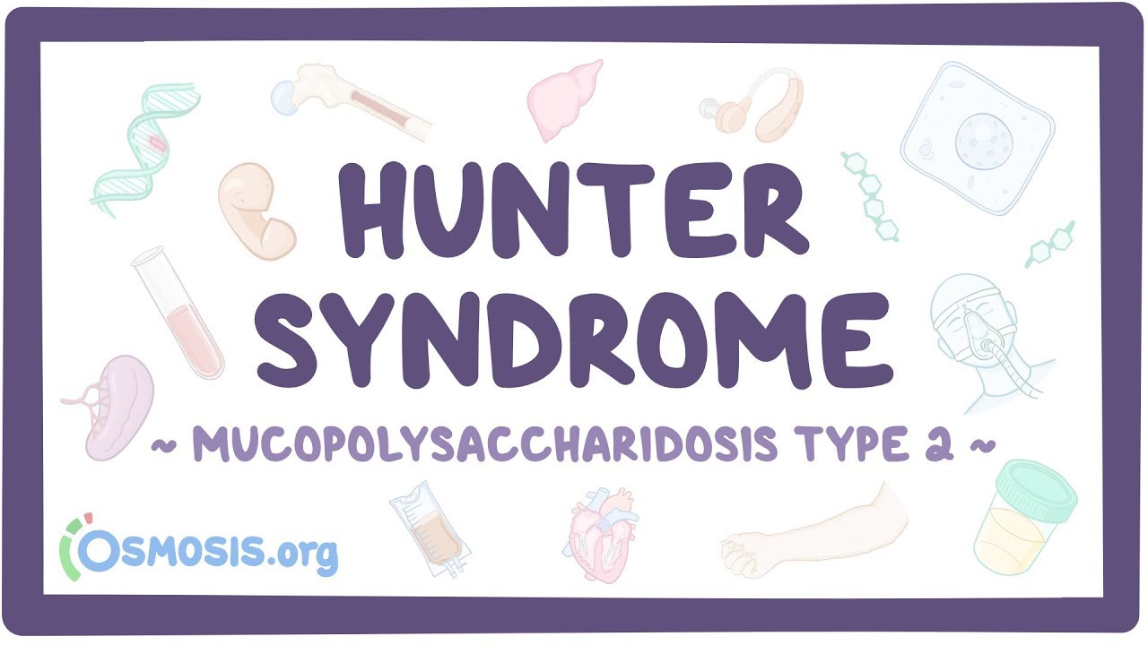 Hunter syndrome - causes, symptoms, diagnosis, treatment, pathology - YouTube