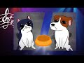 GATO Y PERRO LLORANDO TIKTOK MEME Piden Comida VIRAL Guau Guau Miau Miau TRISTE CANCION