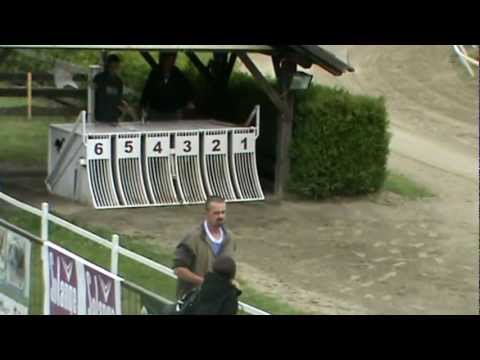 Supersonic Trophy Rábapatona 2012.05.12. 492m. Westmead Dolly