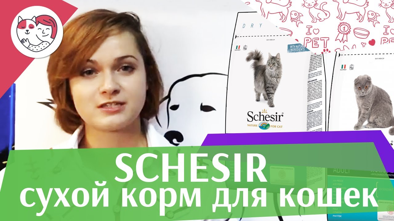 Schesir сухой корм для кошек на ilikepet