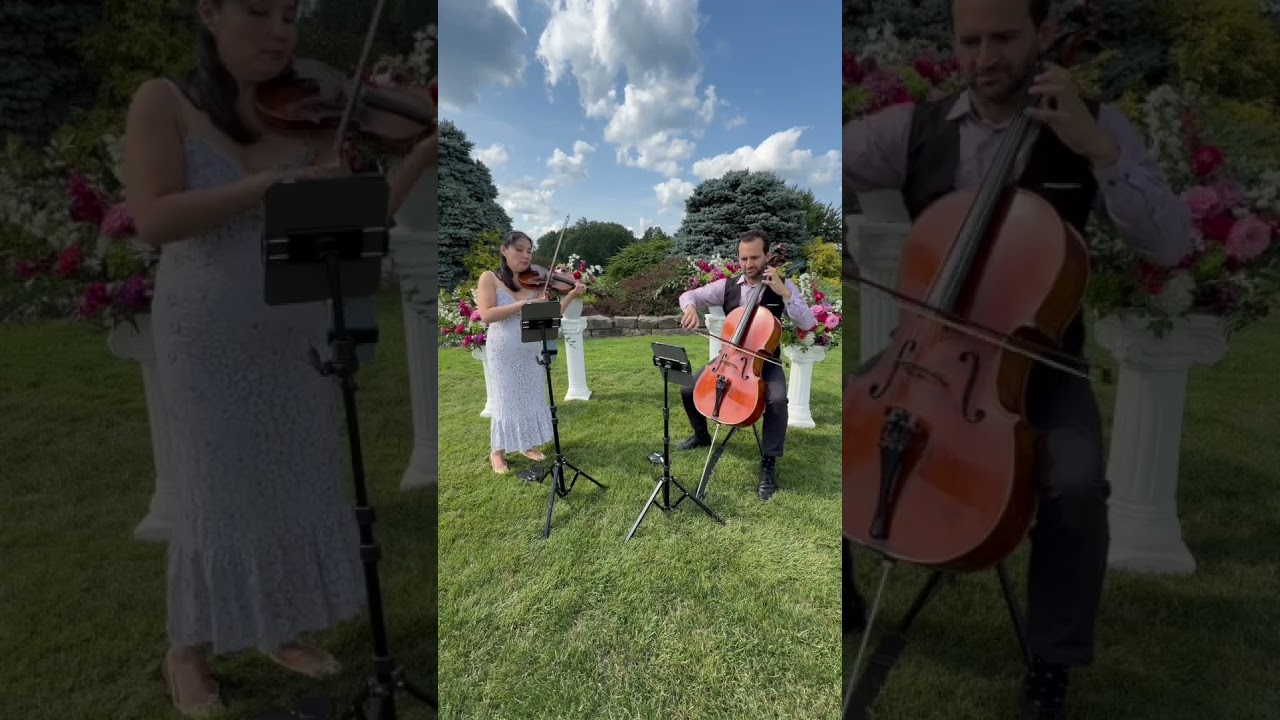 Promotional video thumbnail 3 for Elegance Quartet Entertainment