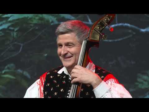 Ansambel Javor  - Na kolinah