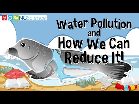 Water Pollution and How We Can Reduce It!