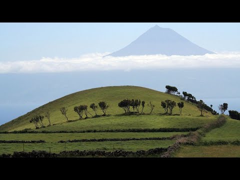 Azores Sao Jorge Volcano Update; Large Earthquake, Magma Volume Measured