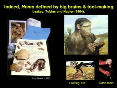 3rd Annual Human Evolution Symposium PART THREE
