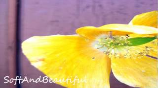 Ledisi ♥  I Need L♥ve