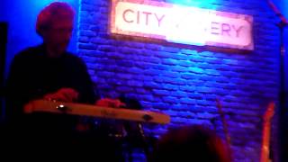 Jay Farrar - Wild Side