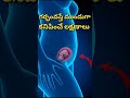 గర్భం వచ్చేముందు కనిపించే లక్షణాలు Pre