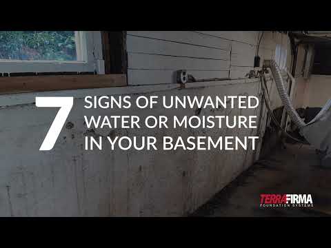 7 Signs of Unwanted Water or Moisture in Your Basement