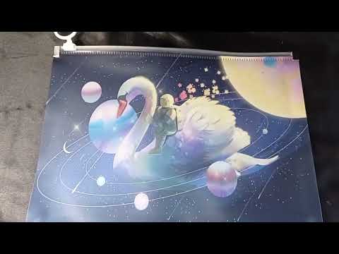 BOLSA DE PLÁSTICO MULTIUSO CISNE/ASTRONALTA 18 X 25 CM