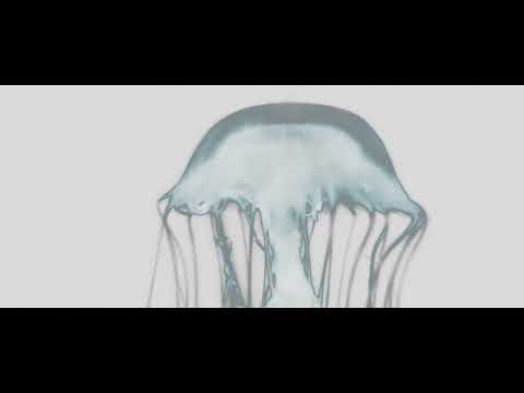 Ondi Vil & Teqkoi - Drowning (ft. Mehkare Merson)