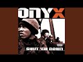 Onyx, Shut 'Em Down, Face Down 