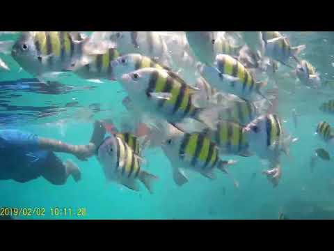 Port Blair Trip Part 2