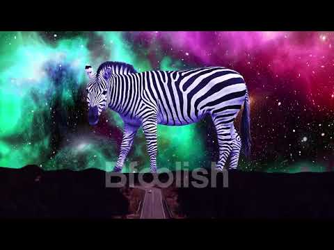 Nick Corline House Work feat. Christian Key - Star 69 ( Dj Maxim rmx )