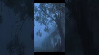 Download lagu Heavy Rain and Thunder Sounds for sleep, study or relaxation  - Rain sounds on the Roof mp3