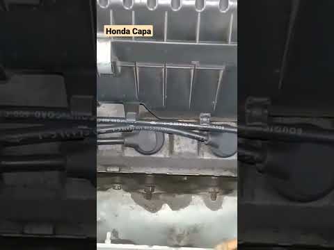 Thumbnail for #hondacapa #shorts #automotive #diyspanner #mechanic by Honda Capa