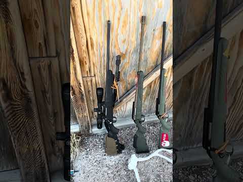 Review and compare the Ruger American gen 1 predator and gen 2 rifle