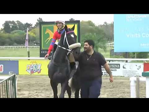 SINT - COLONIA 230519 - CO 230519 c04 1° TRUJILLO