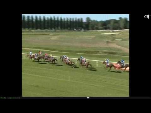 Timi Roli - Royan 3-Y-O Flat Race (Winner moved to Willie Mullins) [19/08/15]