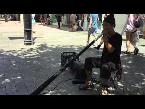 【Didgeridoo】Yoon hwan kim in Perth Australia