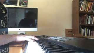 Perfect World cover (Liz Phair)