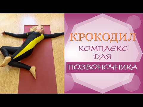 Комплекс упражнений для позвоночника КРОКОДИЛ (полная оригинальная версия)