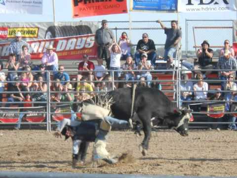 FRUITLAND BULL BURN OUT
