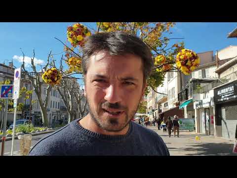 La fleur d'or enjolive Aubagne !