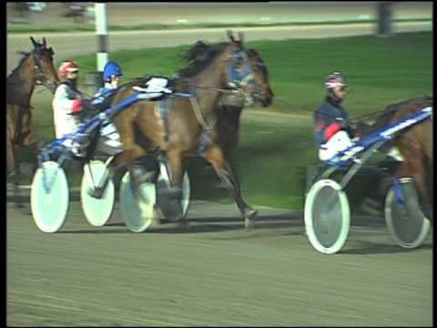 Trotto 19/02/2016 - 7° corsa