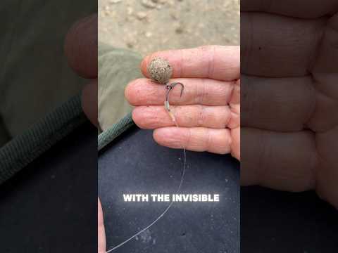 Carp Can’t Spot 👁️ This Rig! 🔥 The Fluorocarbon German Rig 🎣 #fishing #carpfishing #fishinggear