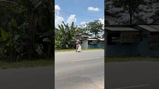 Download lagu Make this go viral❗️❗️be careful with this piece of junk, watch his right hand #kangdedimulyadi #... mp3
