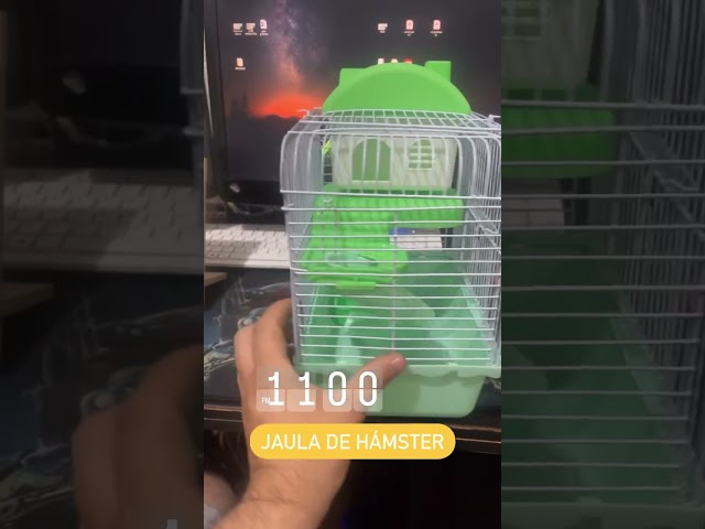 Vídeo relacionado con QingWing Casa de Madera Puente Hamster con Escalera, Casa de Madera para Hámster Pequeños, Conejillos Escondite, Adecuado para Mascotas Pequeñas Agutíes Jerbos Conejos Etc