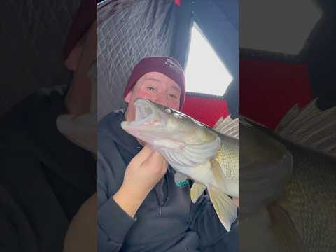 First time fisherman catches a MASSIVE WALLEYE! #fishing #icefishing #walleye